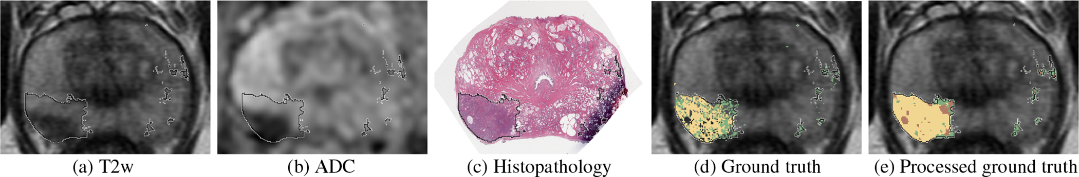 Fig. 1: