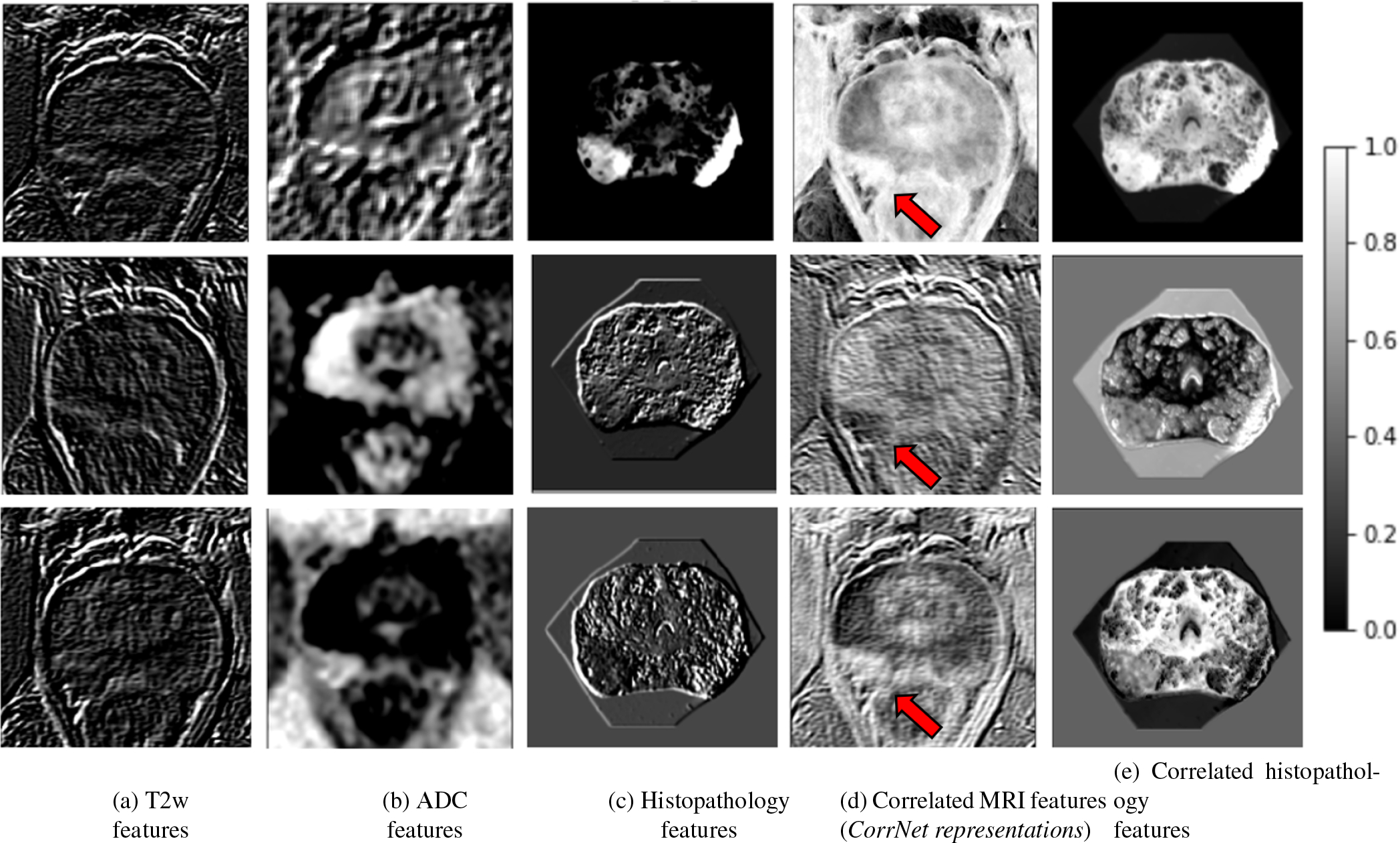 Fig. 4: