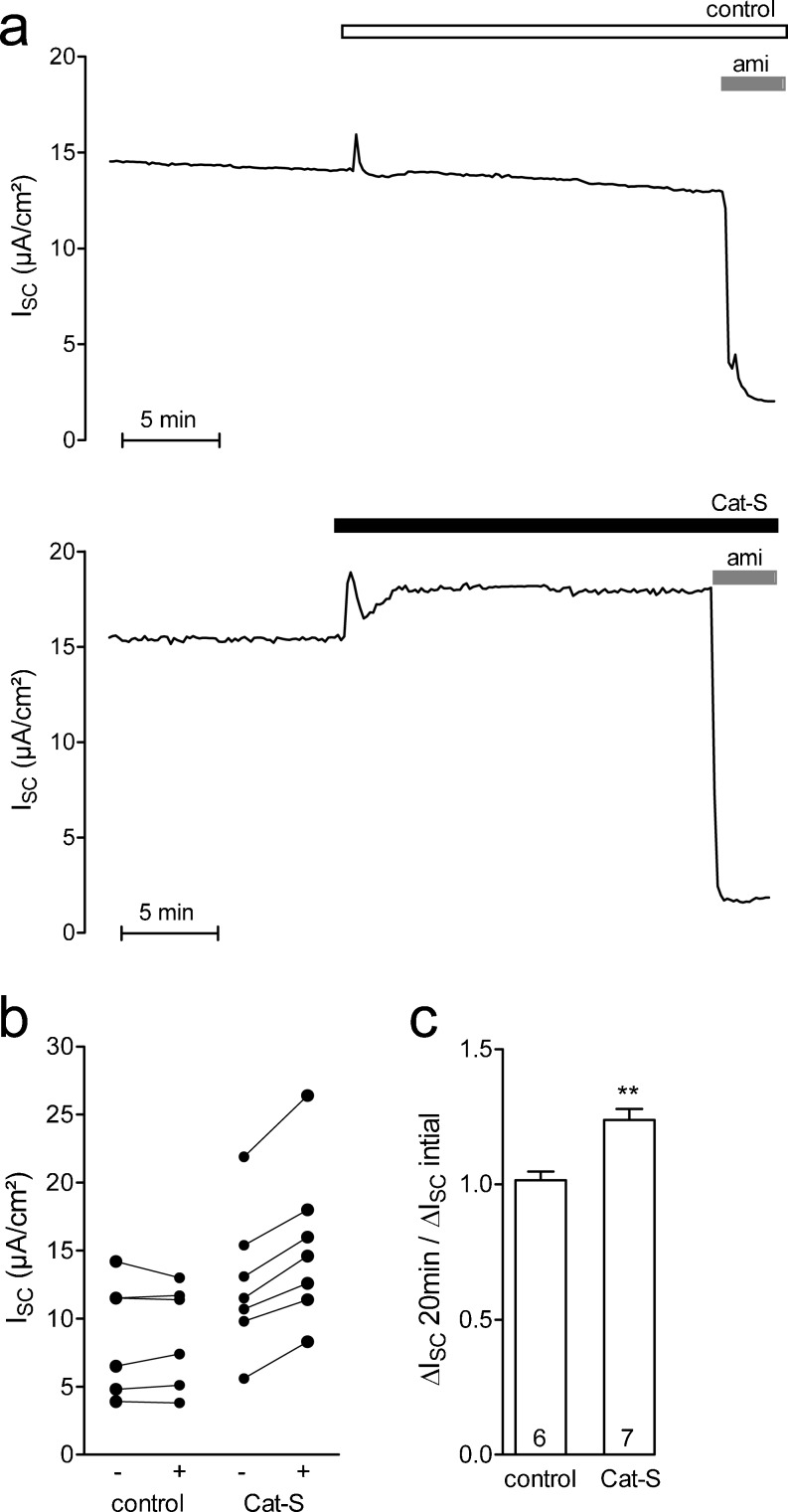 Fig. 9