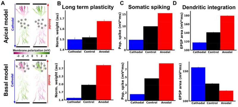 Figure 5.