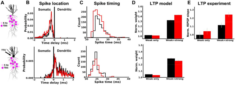 Figure 6.