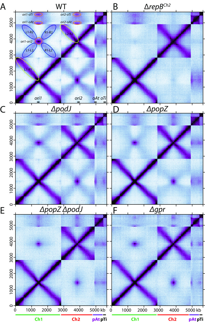 FIG 3