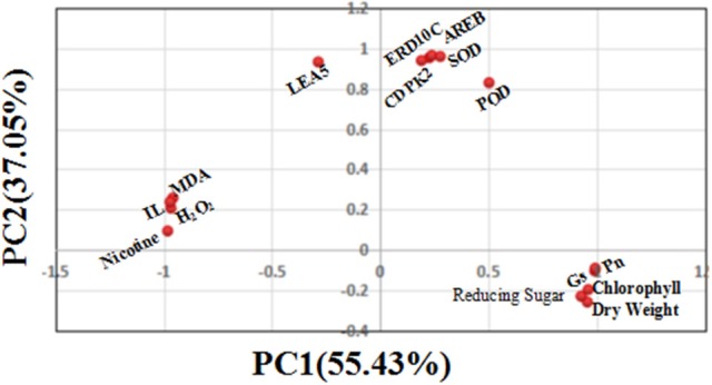 Figure 10