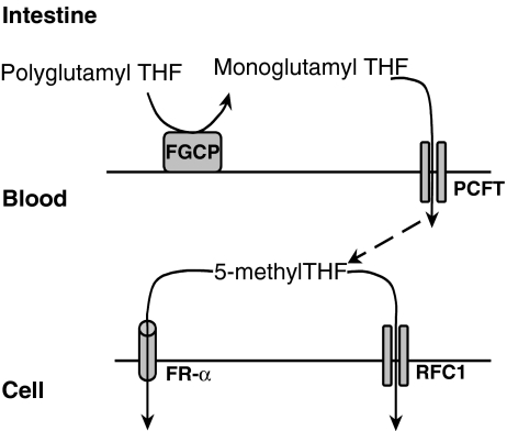 Fig. 2