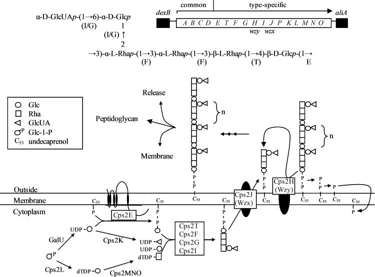 Fig 1