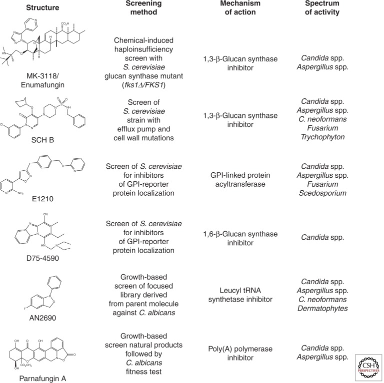 Figure 3.