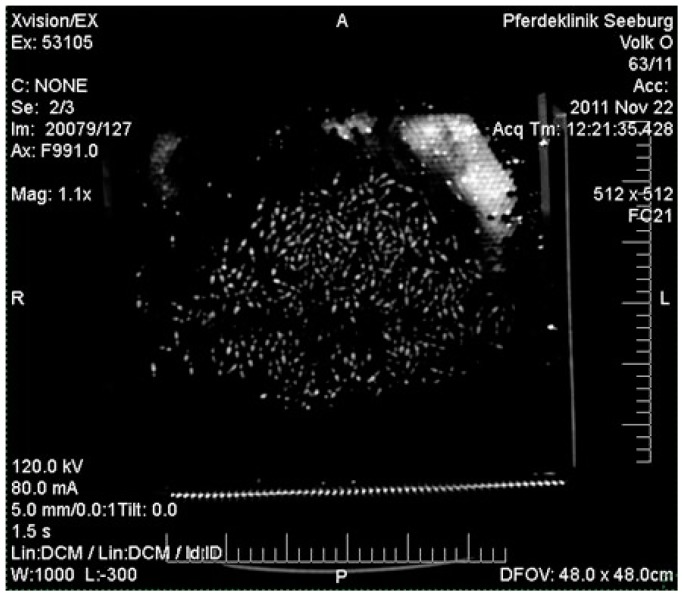 Figure 12