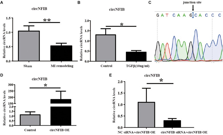 FIGURE 1