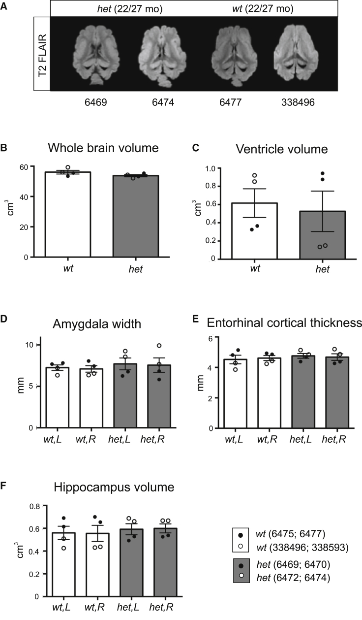 Figure 6