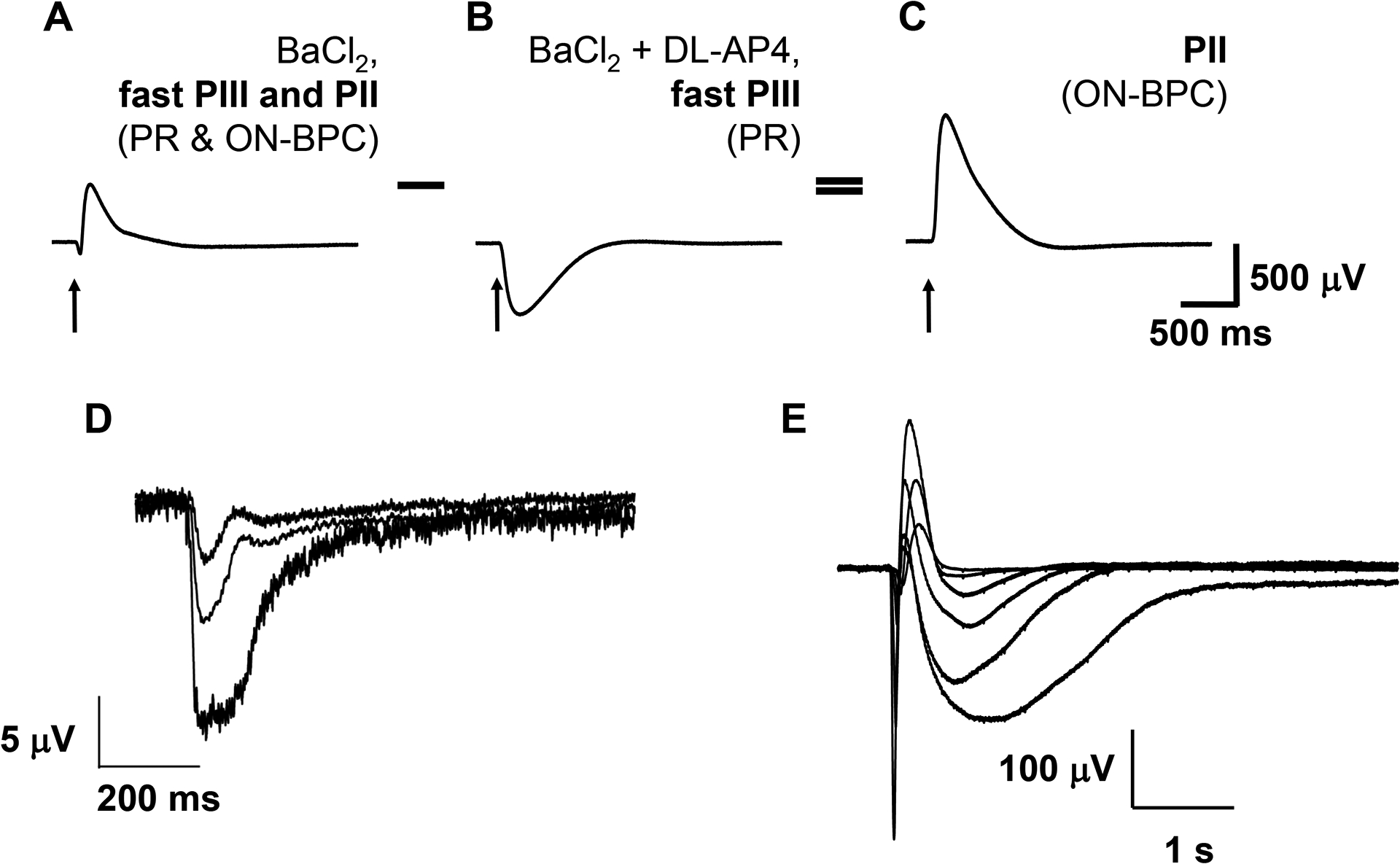 Figure 2: