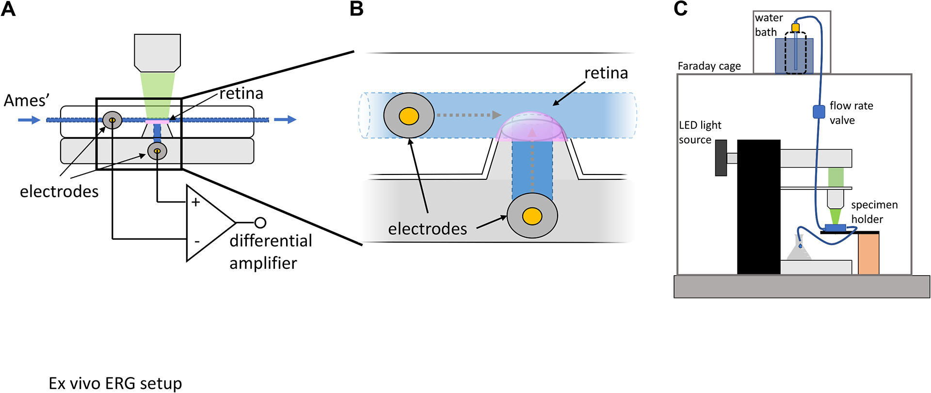 Figure 1: