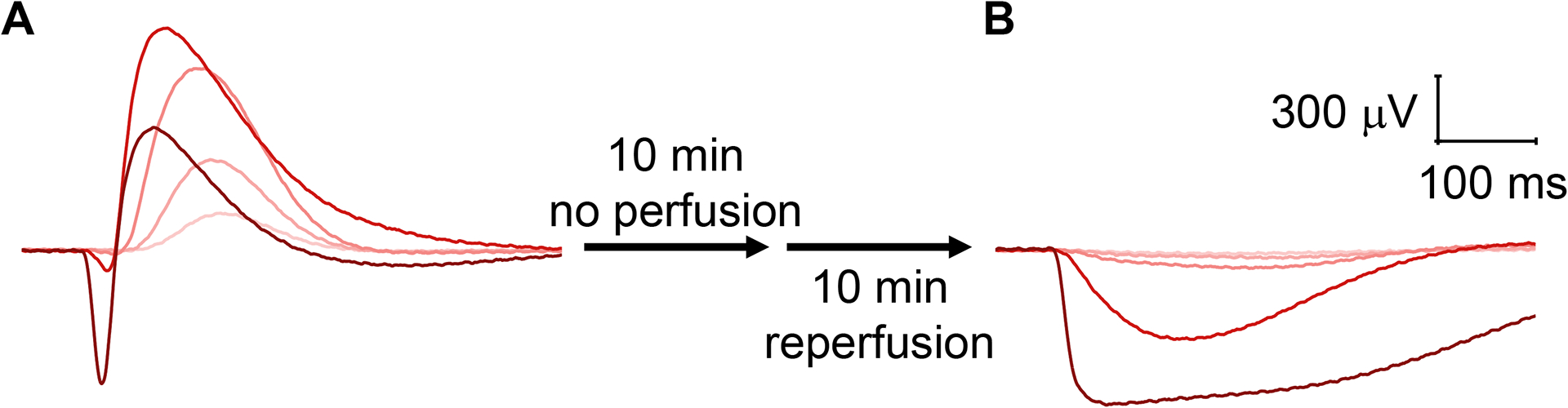 Figure 5: