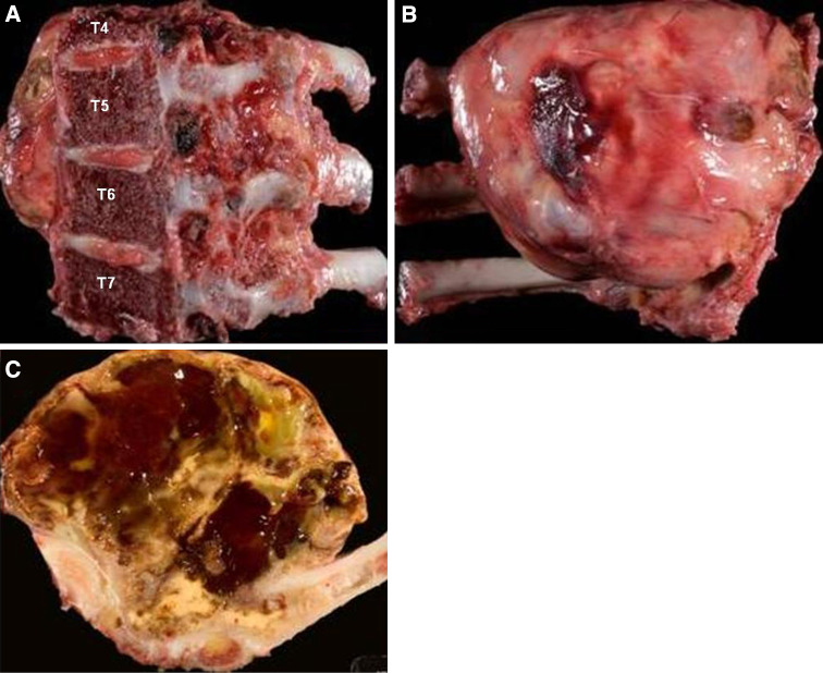 Fig. 6