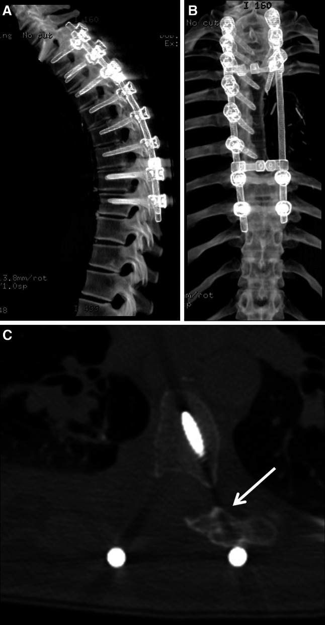 Fig. 7