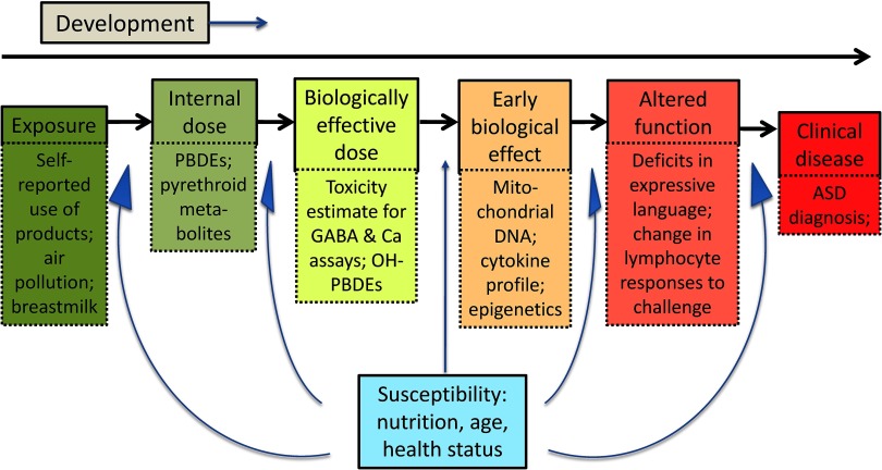 Conceptual diagram