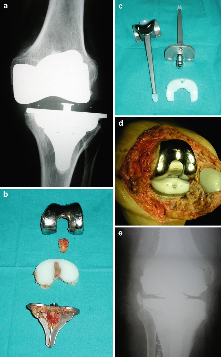 Fig. 3