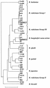 FIG. 2.