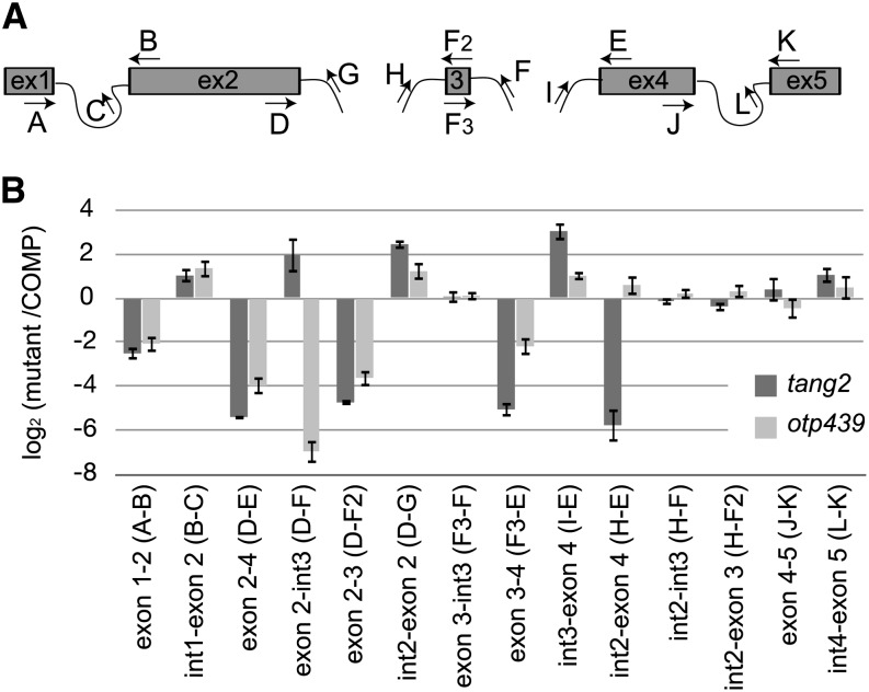 Figure 4.