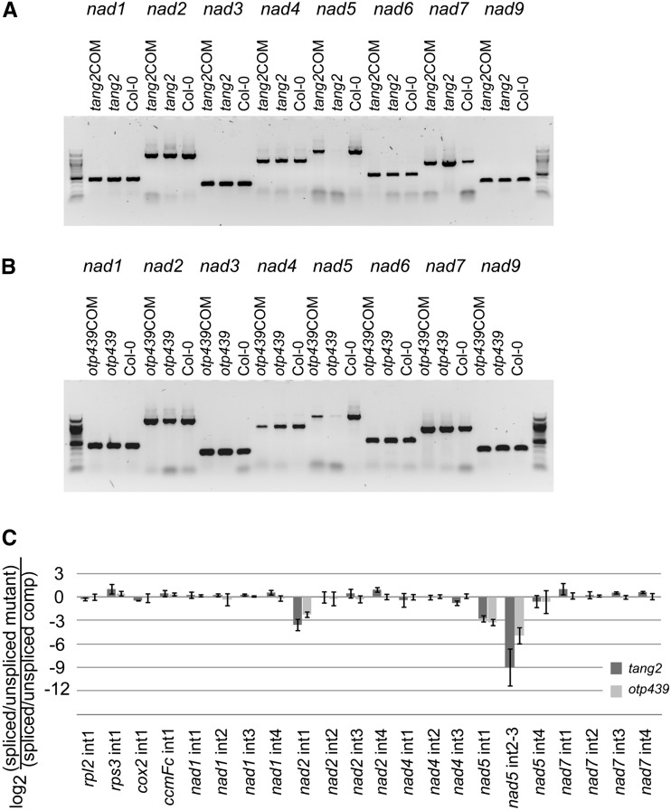 Figure 3.