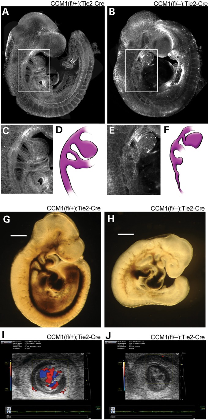 Figure 1.