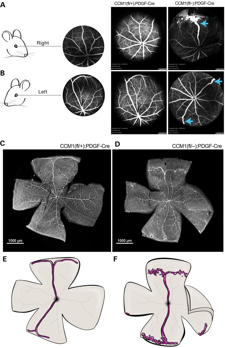 Figure 3.