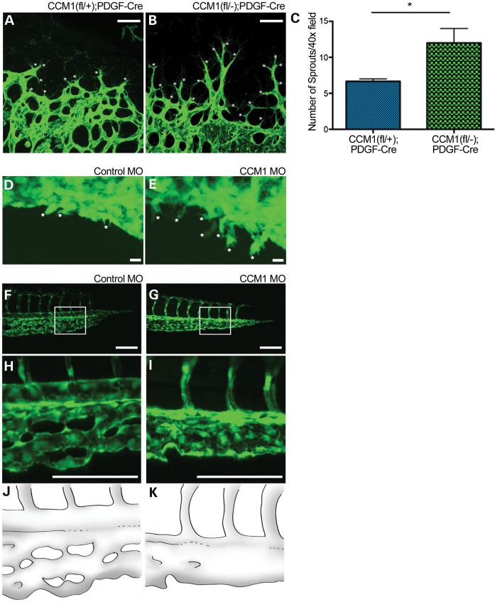 Figure 6.