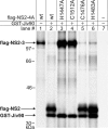 FIG. 5.