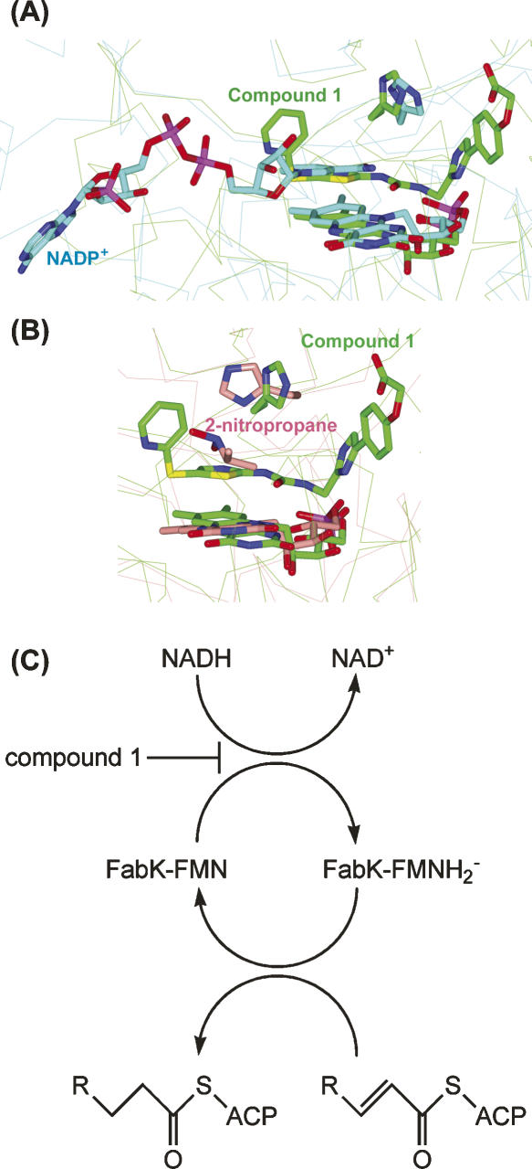 Figure 6.