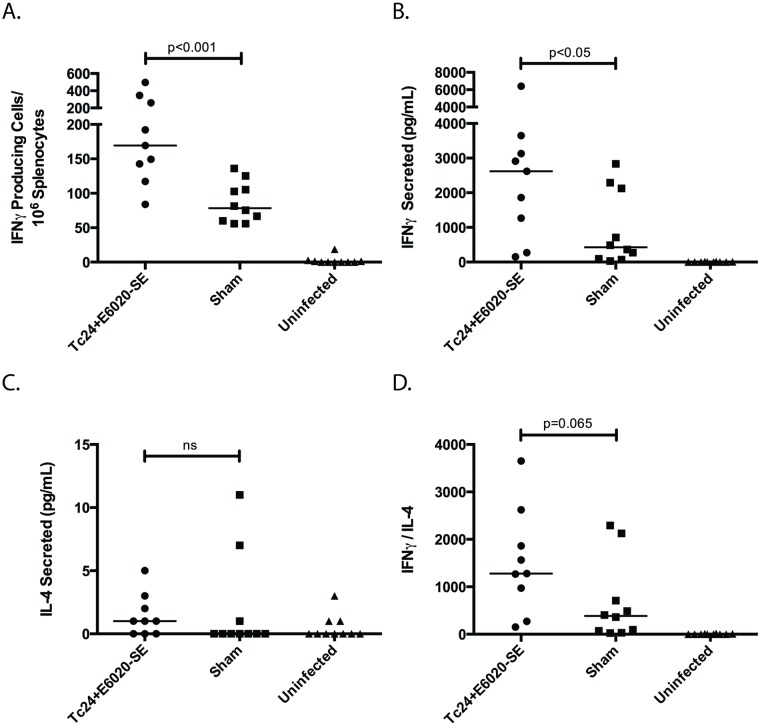 Fig 6