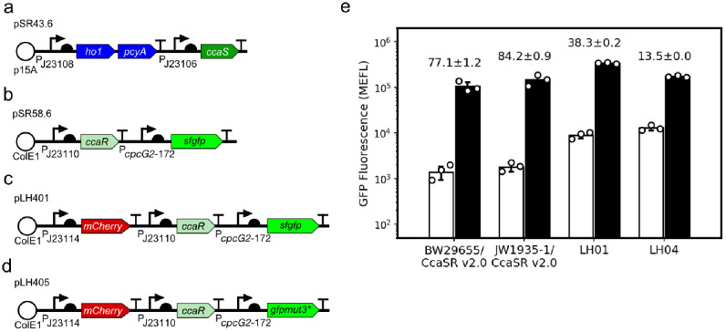 Figure 1—figure supplement 1.