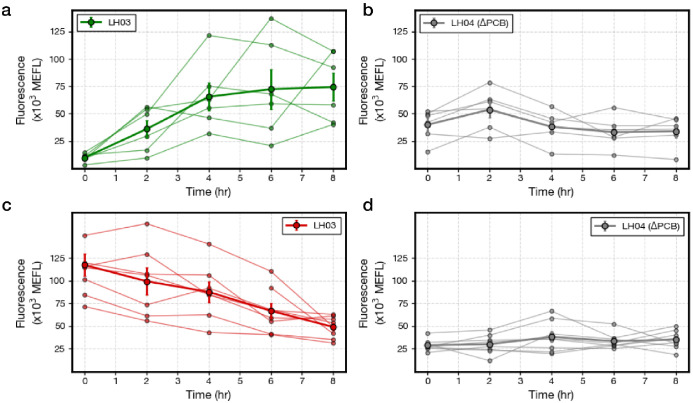 Figure 1—figure supplement 3.