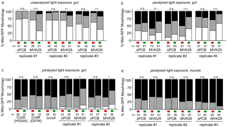 Figure 3—figure supplement 1.