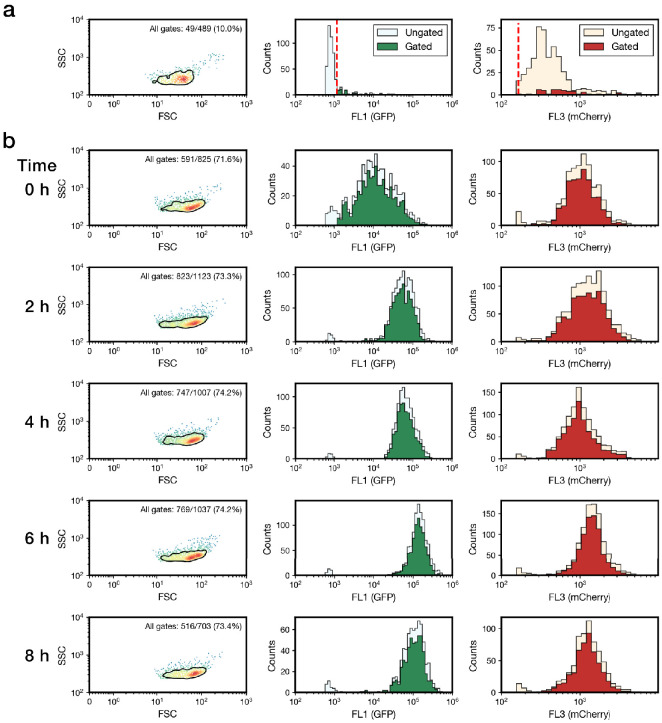 Figure 1—figure supplement 2.