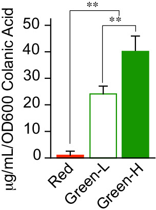 Figure 4—figure supplement 1.