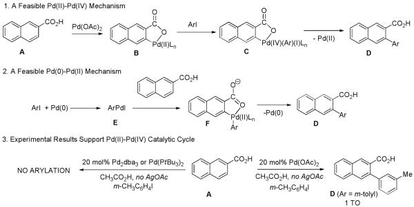 Scheme 5