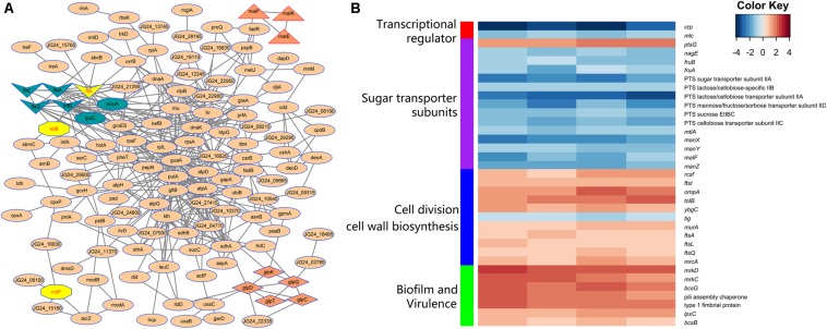 FIGURE 4