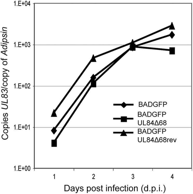 Fig 4