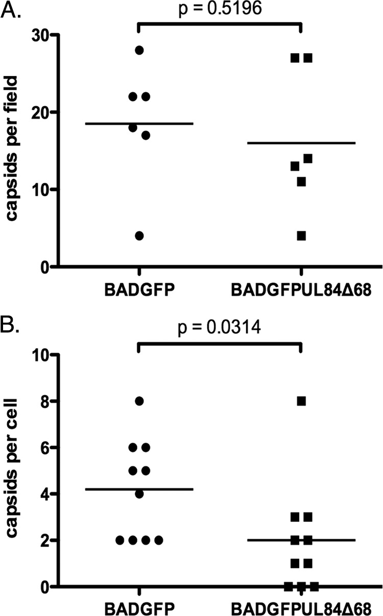 Fig 8