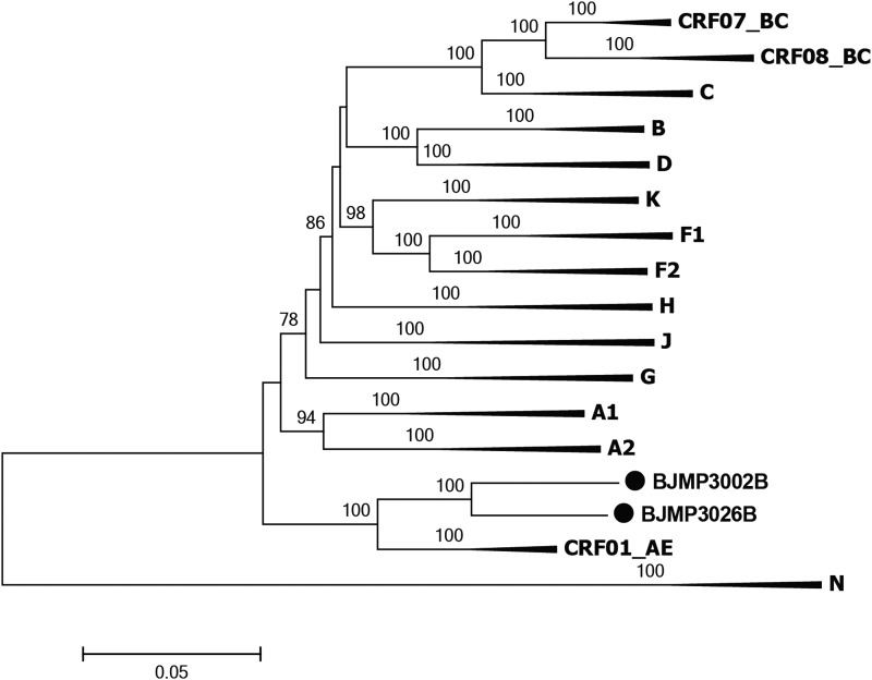 FIG. 1.