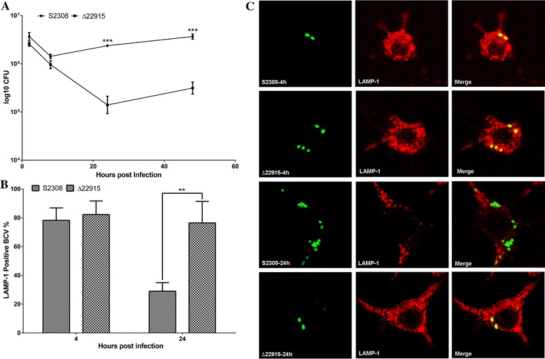 Figure 2