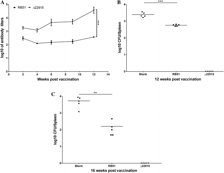 Figure 6