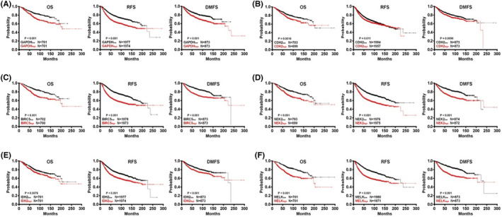 FIGURE 4