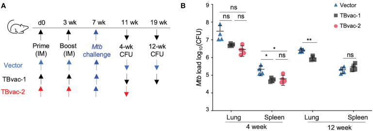 Figure 6