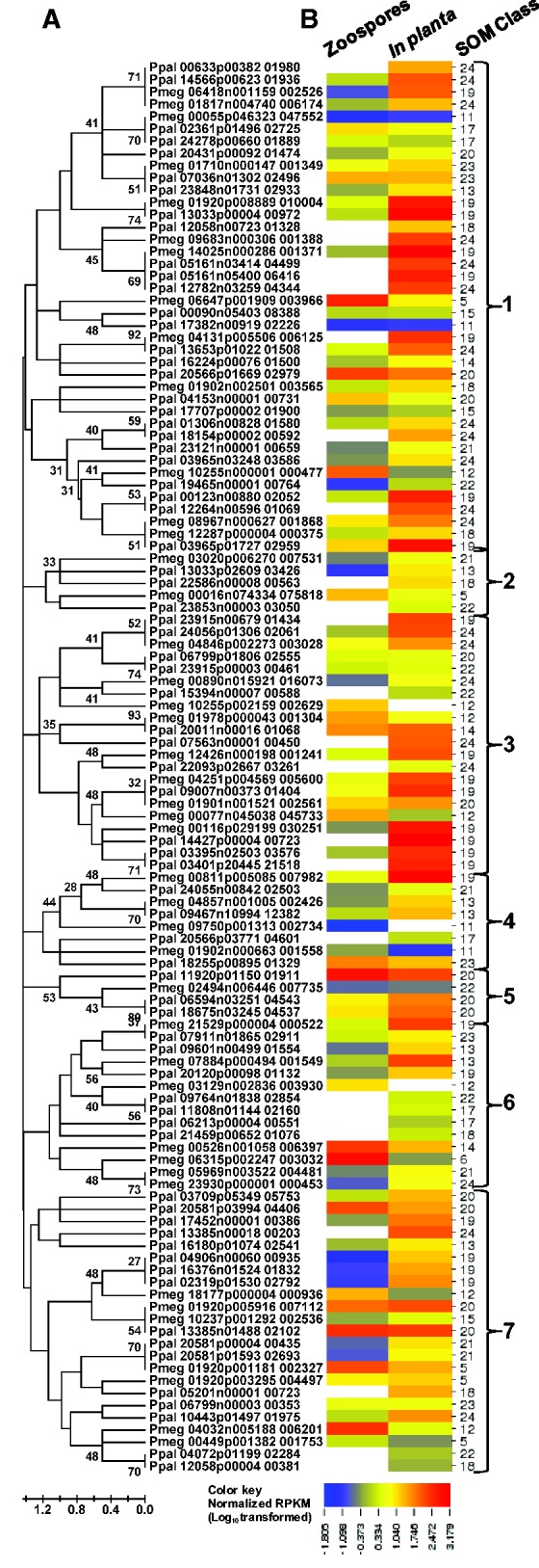 Fig. 6.—