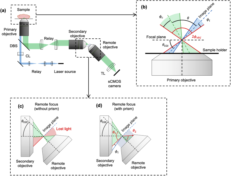 Fig. 10.