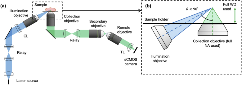 Fig. 3.