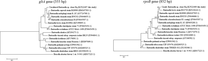 FIG 2