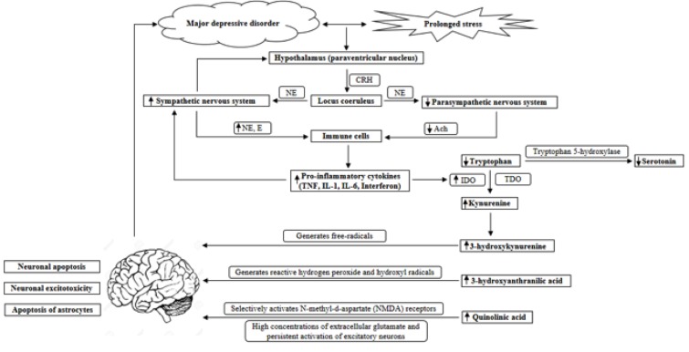 Fig. (1)