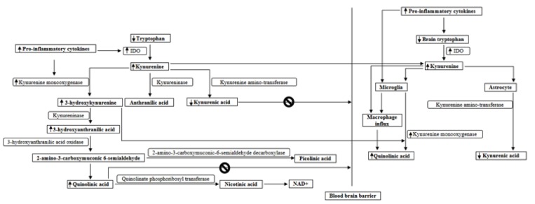 Fig. (2)