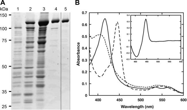 FIG 3